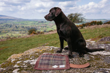 Load image into Gallery viewer, The Little Rug