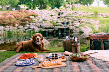 Load image into Gallery viewer, The Big Chill Coolbag