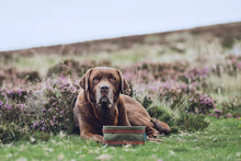 Load image into Gallery viewer, Water Bowl for Dogs